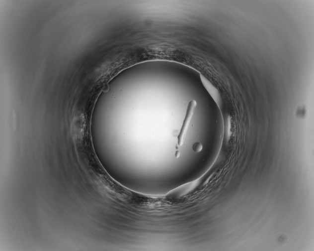 X0000099570752200805161516