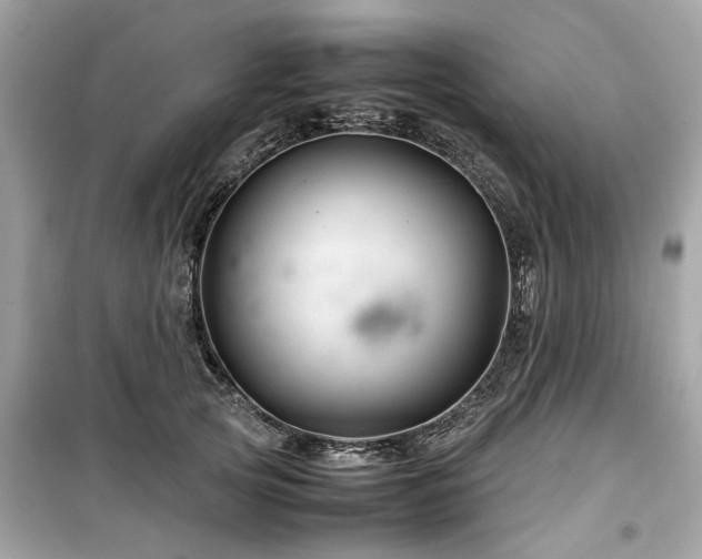 X0000099570753200805161516