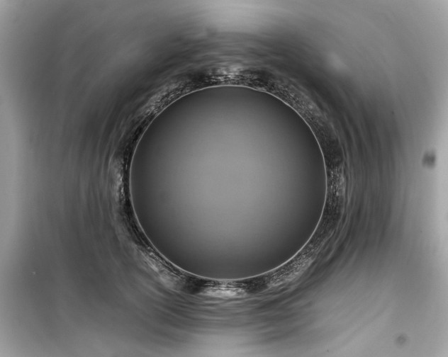 X0000099570754200805161516