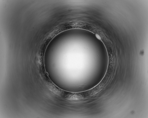 X0000099570755200805161516