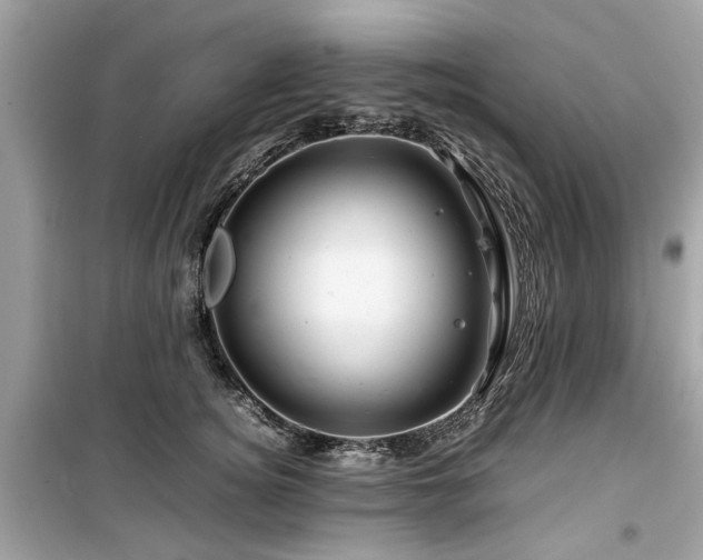 X0000099570756200805161516