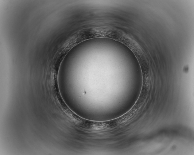 X0000099570757200805161516