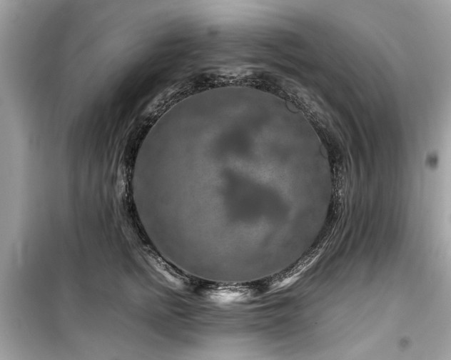 X0000099570758200805161516