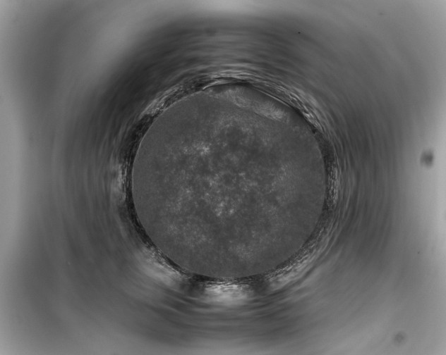 X0000099570759200805161516