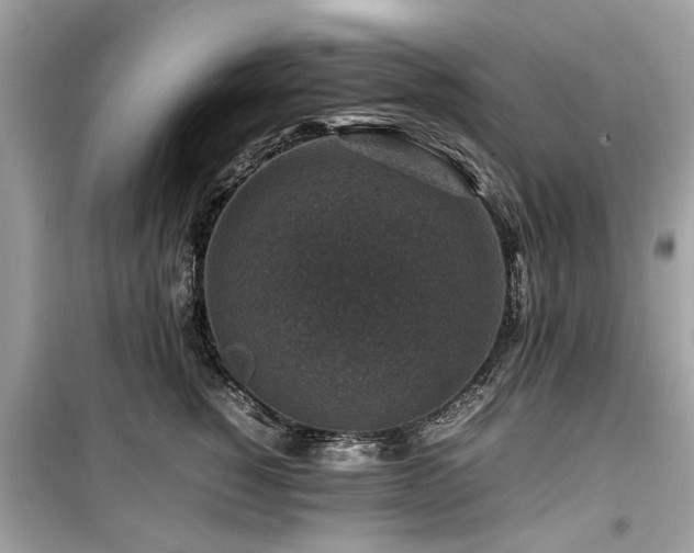 X0000099570760200805161516