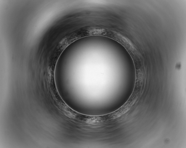 X0000099570761200805161517