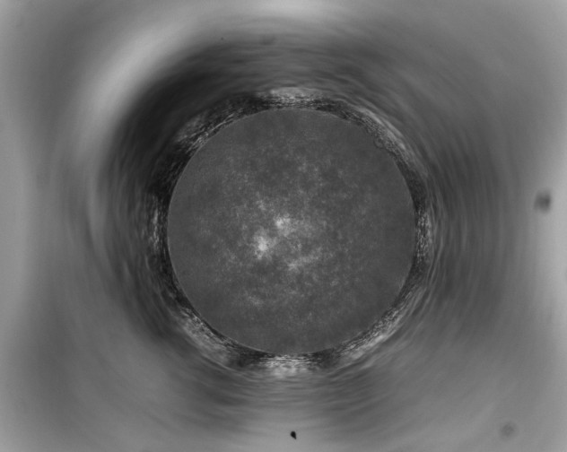 X0000099570762200805161517