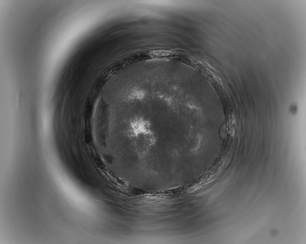 X0000099570763200805161517