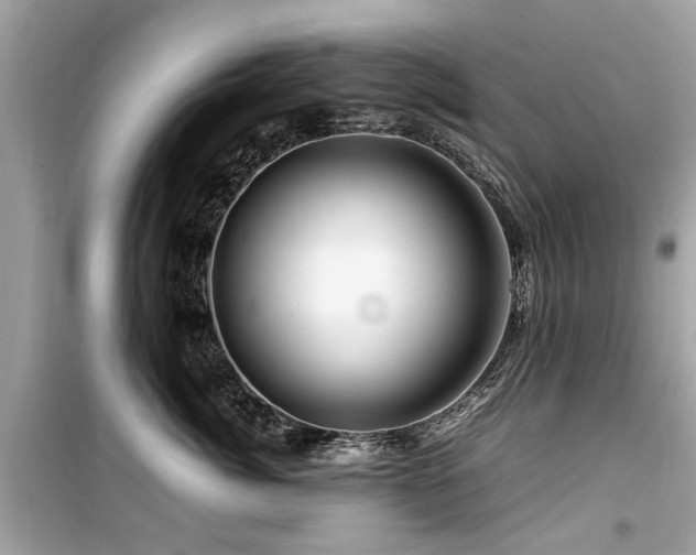 X0000099570764200805161517