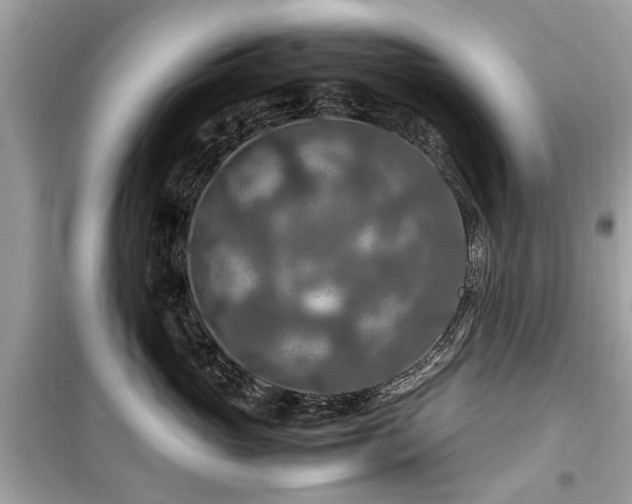 X0000099570765200805161517