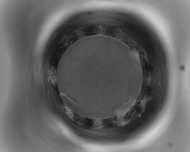 X0000099570766200805161517