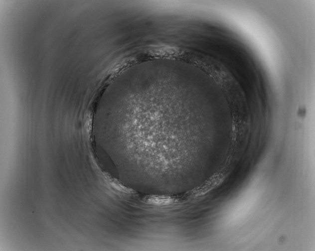 X0000099570767200805161517