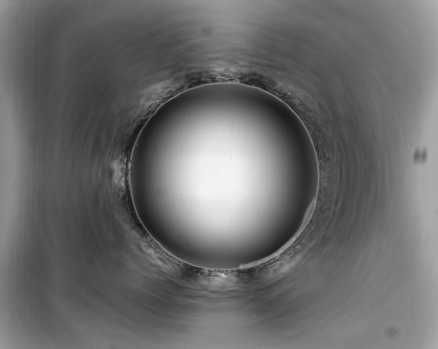 X0000099570768200805161517