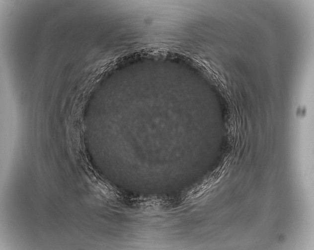 X0000099570769200805161516