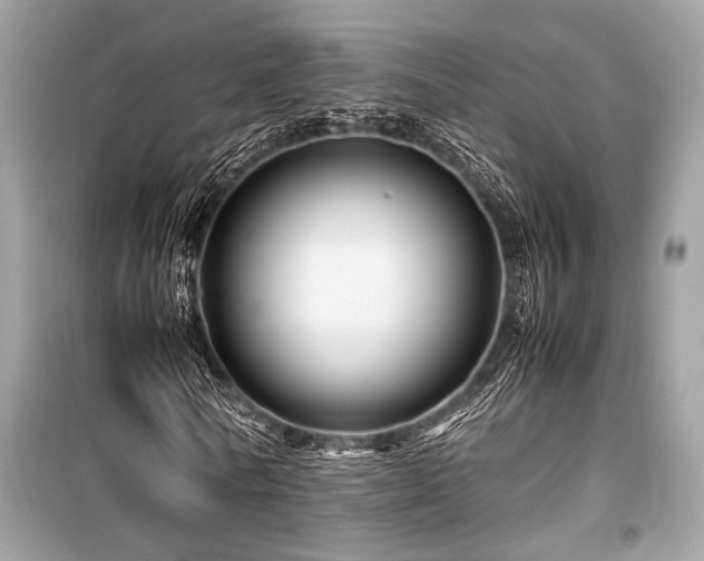 X0000099570770200805161516