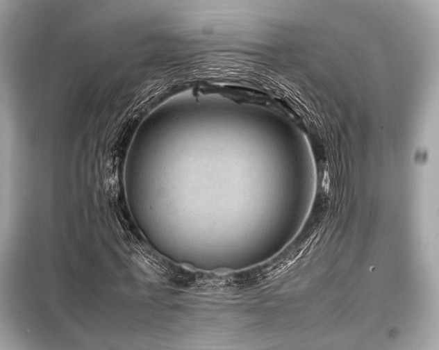 X0000099570771200805161516