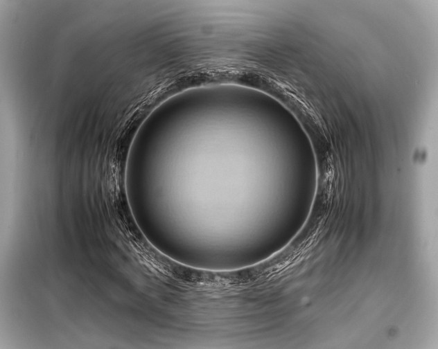 X0000099570772200805161516