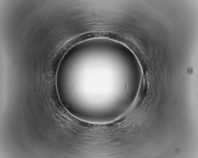 X0000099570773200805161516