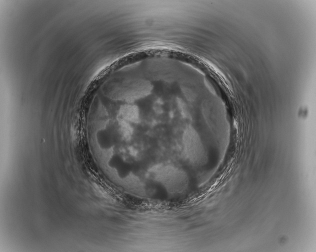 X0000099570775200805161516