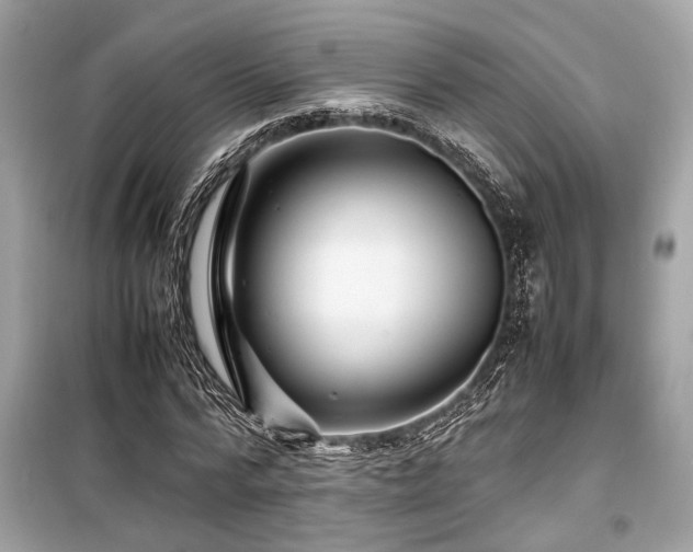 X0000099570776200805161516