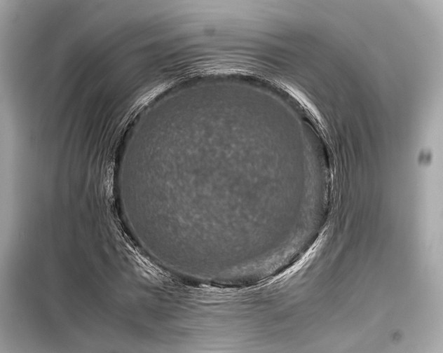 X0000099570777200805161516