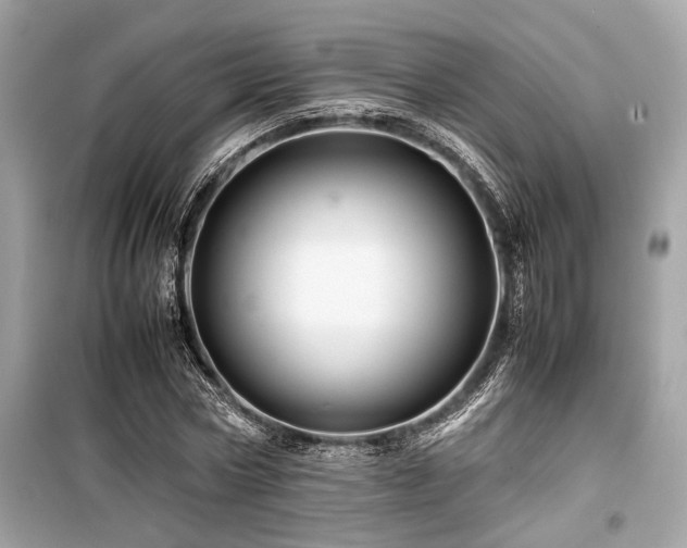 X0000099570778200805161516