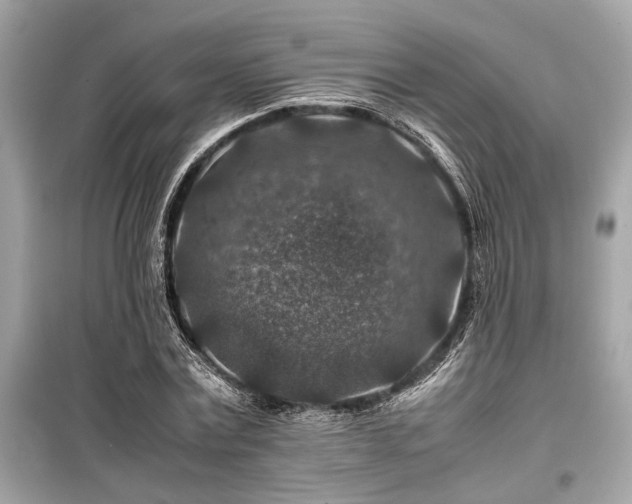 X0000099570779200805161516