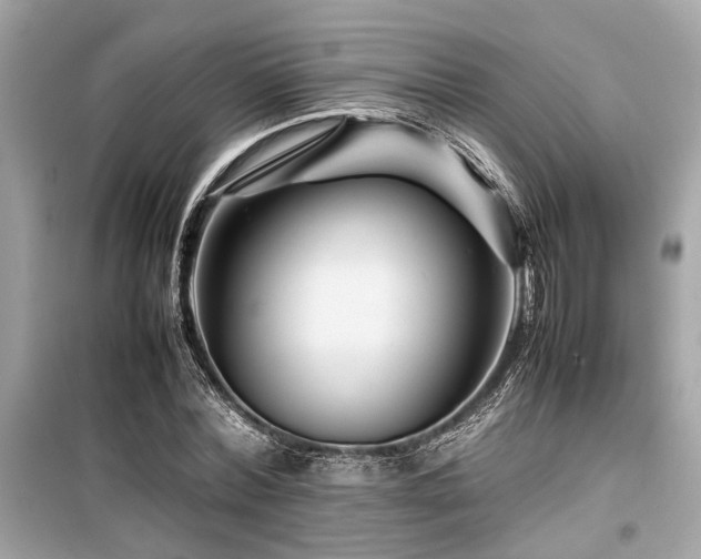 X0000099570780200805161516