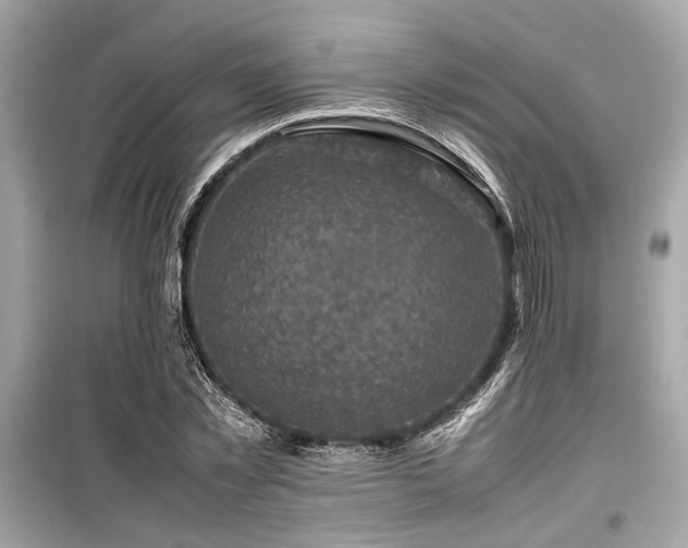 X0000099570781200805161516