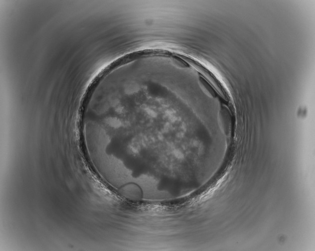 X0000099570783200805161516