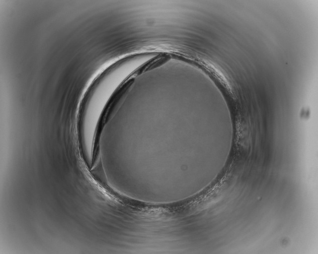 X0000099570784200805161515