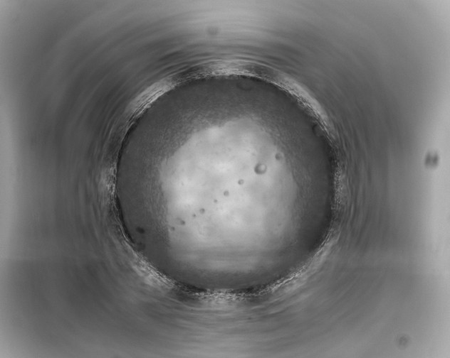 X0000099570785200805161515