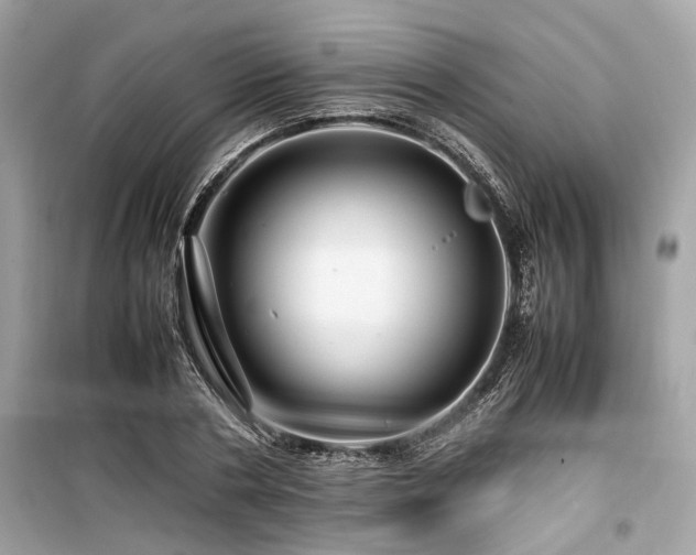 X0000099570786200805161515