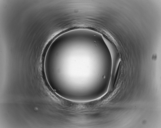 X0000099570787200805161515