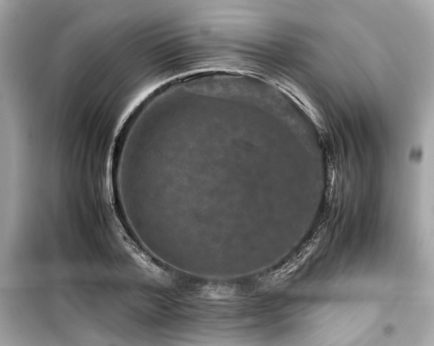 X0000099570788200805161515