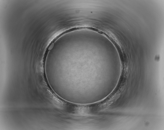 X0000099570789200805161515