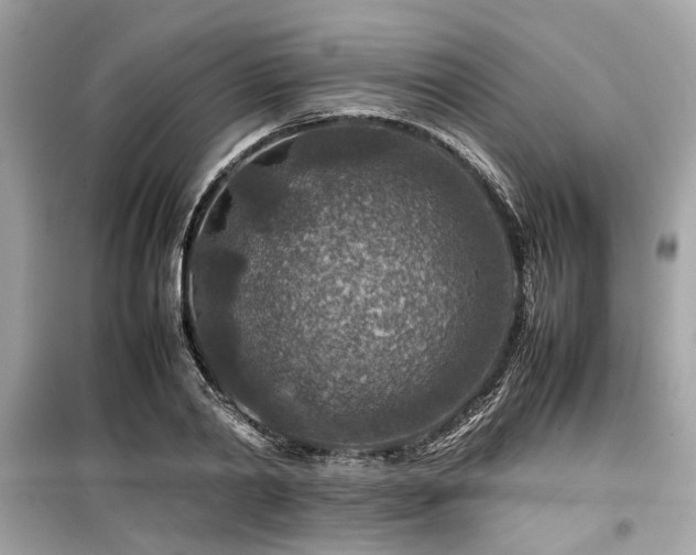 X0000099570790200805161515