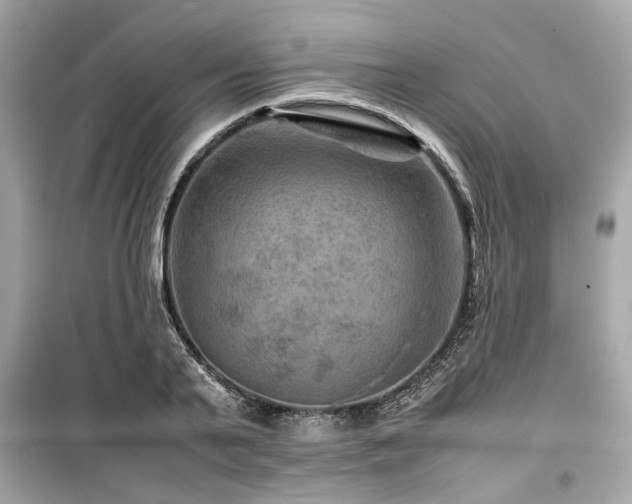 X0000099570791200805161515