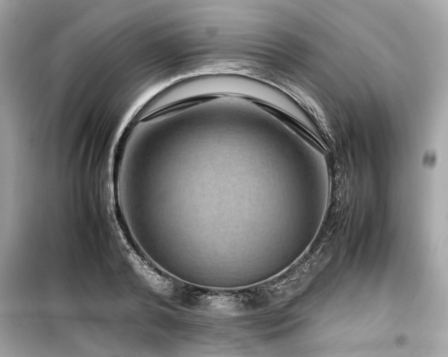 X0000099570792200805161515