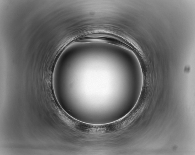 X0000099570793200805161515