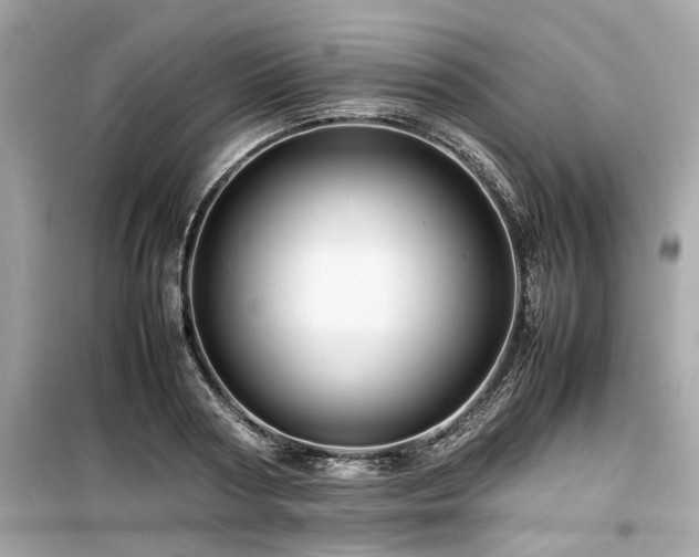 X0000099570794200805161515