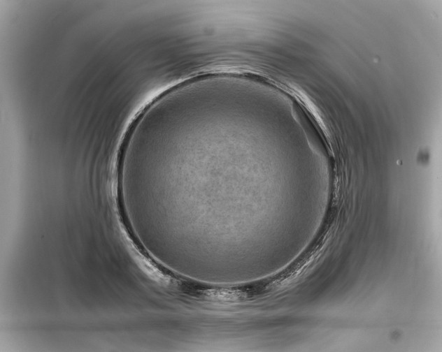 X0000099570795200805161515