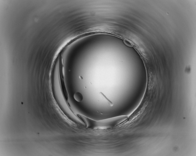 X0000099570796200805161515