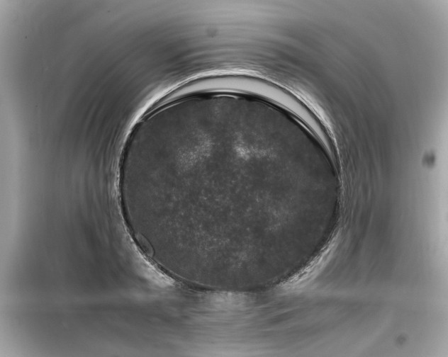 X0000099570797200805161515