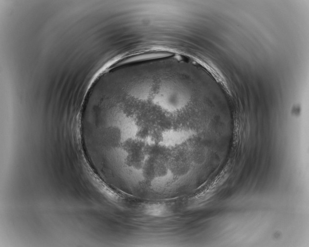 X0000099570798200805161515