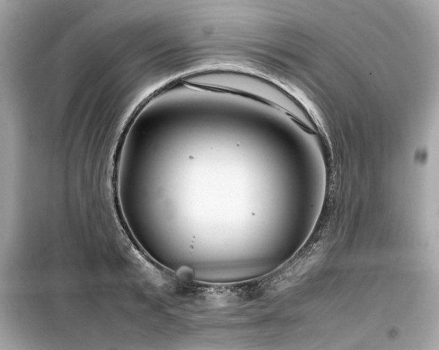 X0000099570799200805161515