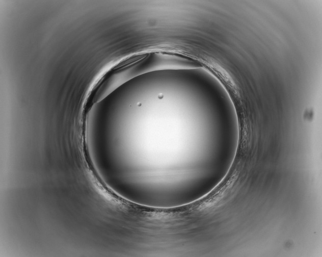 X0000099570800200805161515