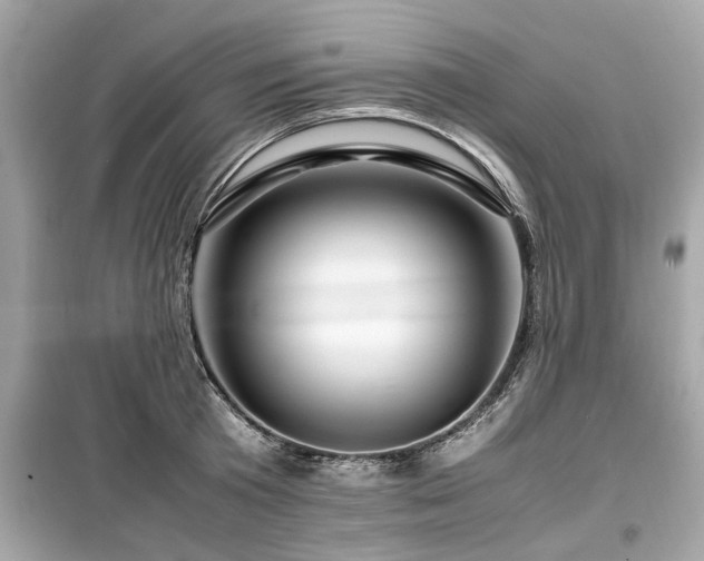 X0000099570801200805161515