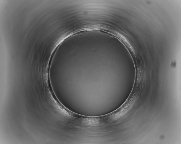 X0000099570802200805161515