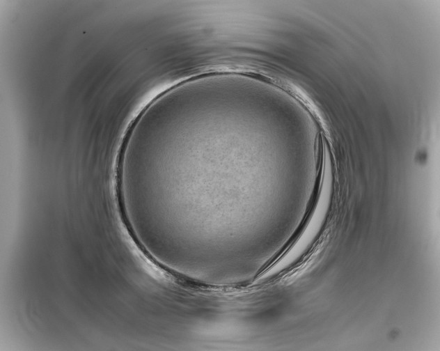 X0000099570803200805161515